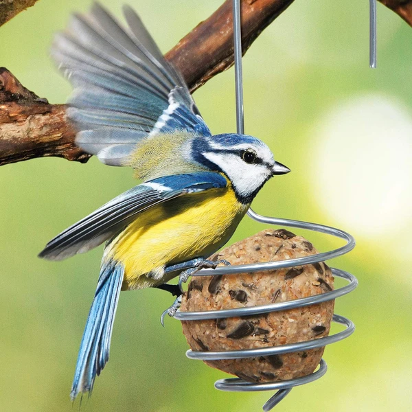 Bellissa Mangeoire Oiseaux Extérieur - Distributeur Nourriture Boule de Graisse - Spirale d'acier Solide à Suspendre — Bellissa, noté 4.7/5
