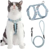 PETTOM Harnais Laisse Chat (M, Bleu) | Anti Évasion, Réglable, Laisse Corde de 145 cm, Pour Chaton Chat Adulte — PETTOM, noté 4.2/5