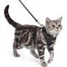 rabbitgoo Harnais pour Chat avec Laisse, Boucle de Cou, Noir, S | Anti Fugue, Sans Passage par Tête, 3 Régulateurs de Sangle Verrouillables, Maille Douce, Réfléchissant, pour Chat Petit Moyen — rabbitgoo, noté 4.4/5