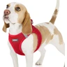 rabbitgoo Harnais Chien Petite Taille, Léger et Respirant, Rouge, M | Harnais Chiot en Maille Souple, Réfléchissant, Réglable, Facile à Mettre, Arnet pour Chien Petit et Moyen, pour Marche Course — rabbitgoo, noté 4.5/5