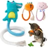Jouet Chat, Jouet de Dentition Chaton, Jouet Herbe a Chat, Jouet a Macher Chat, Jouets de Soins Dentaires pour Chats, pour Interagir Et Nettoyer Les Dents — winbarry, noté 4.4/5